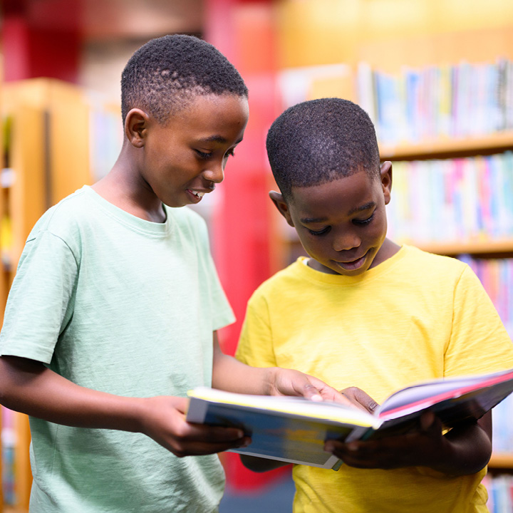 Two boys commenting on images they see on a book